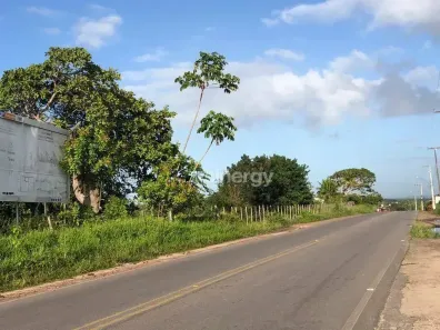Lote/Terreno à venda, 63842m² no Cabeceiras, Tibau do Sul