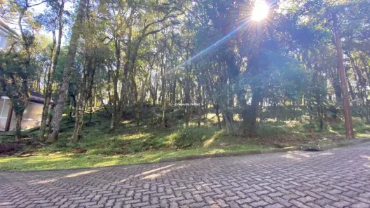 Lote/Terreno à venda, 745m² no , Canela