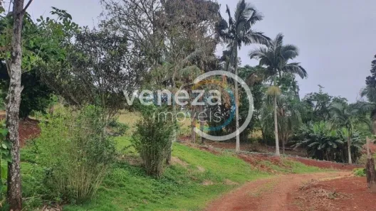 Fazenda/Sítio à venda, 160444m² no Irerê, Londrina
