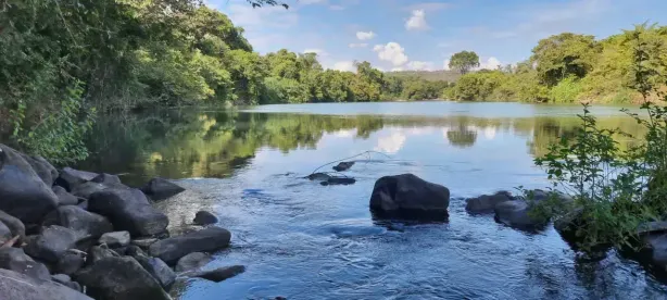 Lote/Terreno à venda, 20000m² no , São Gonçalo do Pará