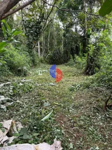 Lote/Terreno à venda, 2423m² no Corujas, Guapimirim