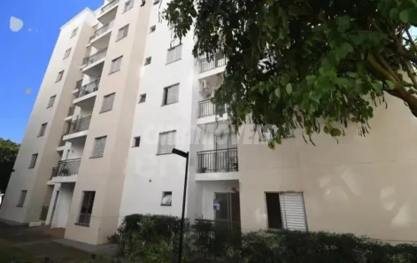 Apartamento com 2 Quartos à venda, 49m² no Jardim Myrian Moreira da Costa, Campinas