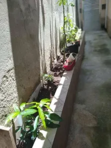 Casa com 3 Quartos à venda, 157m² no Santa Inês, Caieiras