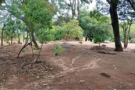 Lote/Terreno à venda, 1200m² no Pinhal Mirim (Pinhal), Cabreúva