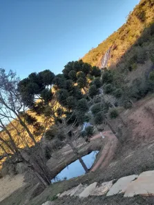 Fazenda/Sítio com 3 Quartos à venda, 850000m² no , Carvalhos
