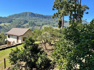 Fazenda/Sítio com 4 Quartos à venda, 71000m² no Nova Petrópolis, Nova Petrópolis