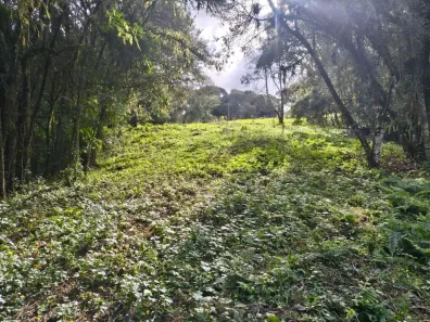 Lote/Terreno à venda, 4700m² no Rondinha, Campo Largo