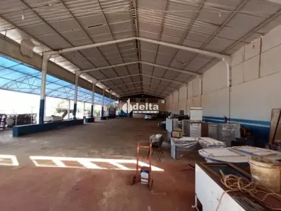 Ponto Comercial para alugar, 1000m² no Segismundo Pereira, Uberlândia