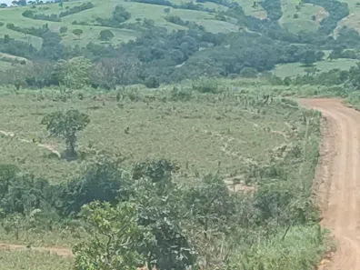 Fazenda/Sítio com 2 Quartos à venda, 529000m² no Centro, Luziânia