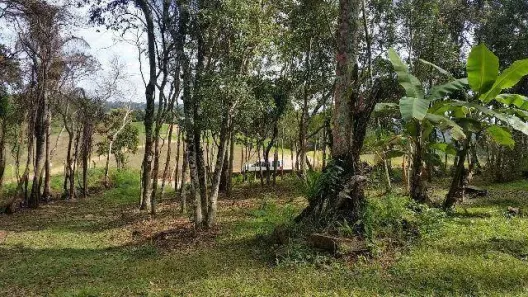Lote/Terreno à venda, 500m² no Terras de São Felipe (Caucaia do Alto), Cotia