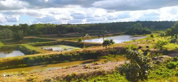 Fazenda/Sítio com 4 Quartos à venda, 200m² no Novo Mundo, Várzea Grande