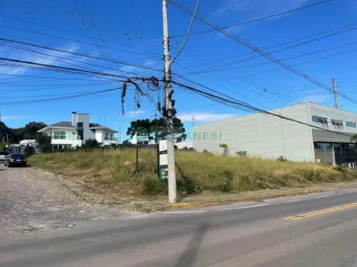 Lote/Terreno à venda, 1400m² no São Luiz, Caxias do Sul