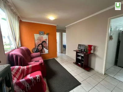 Apartamento com 3 Quartos à venda, 57m² no Silveira, Belo Horizonte