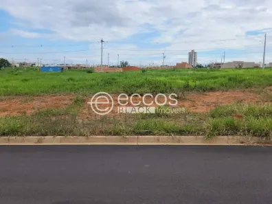 Lote/Terreno à venda, 250m² no Aclimação, Uberlândia