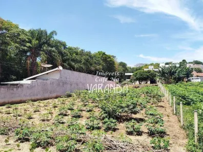 Lote/Terreno à venda, 1112m² no Jardim São Luiz, Valinhos