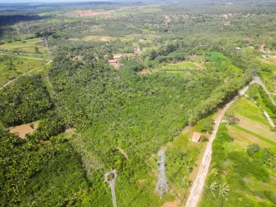 Fazenda/Sítio com 1 Quarto à venda, 100000m² no Santa Clara, São Luís