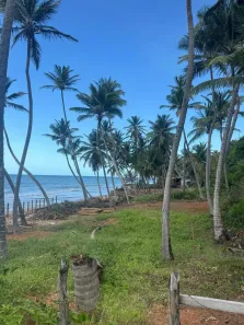 Lote/Terreno à venda, 5700m² no , Icapuí
