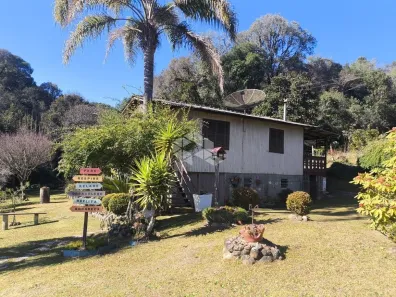 Fazenda/Sítio com 2 Quartos à venda, 70m² no , Canela