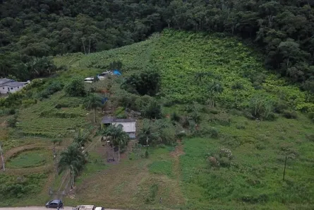 Fazenda/Sítio com 3 Quartos à venda, 119998m² no Centro, Sete Barras