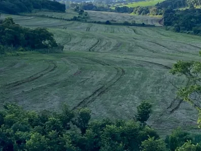 Fazenda/Sítio à venda, 648000m² no , Assaí