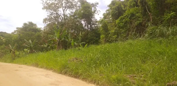 Lote/Terreno à venda, 16000m² no Rio da Areia (Bacaxá), Saquarema