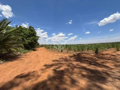 Fazenda/Sítio à venda, 220240m² no Bairro da Geada, Limeira