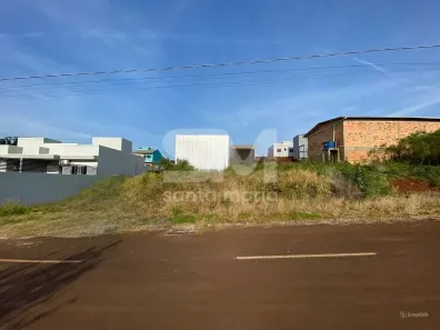 Lote/Terreno à venda, 360m² no Araras, Chapecó