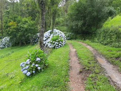 Lote/Terreno à venda, 23000m² no , Rio Rufino